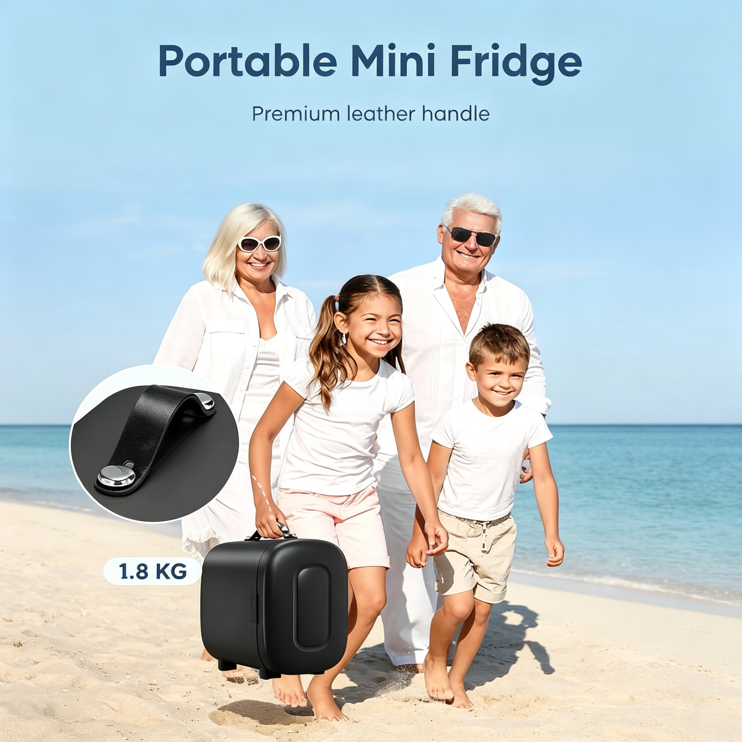 5L Dual Use Portable Mini Refrigerator